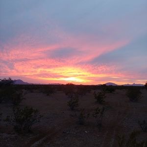 Meet your Posher, Deanna